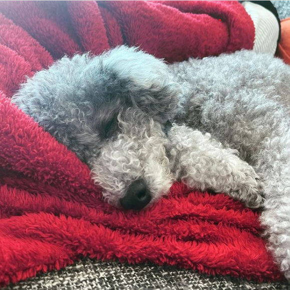 Profile of Paul Wong