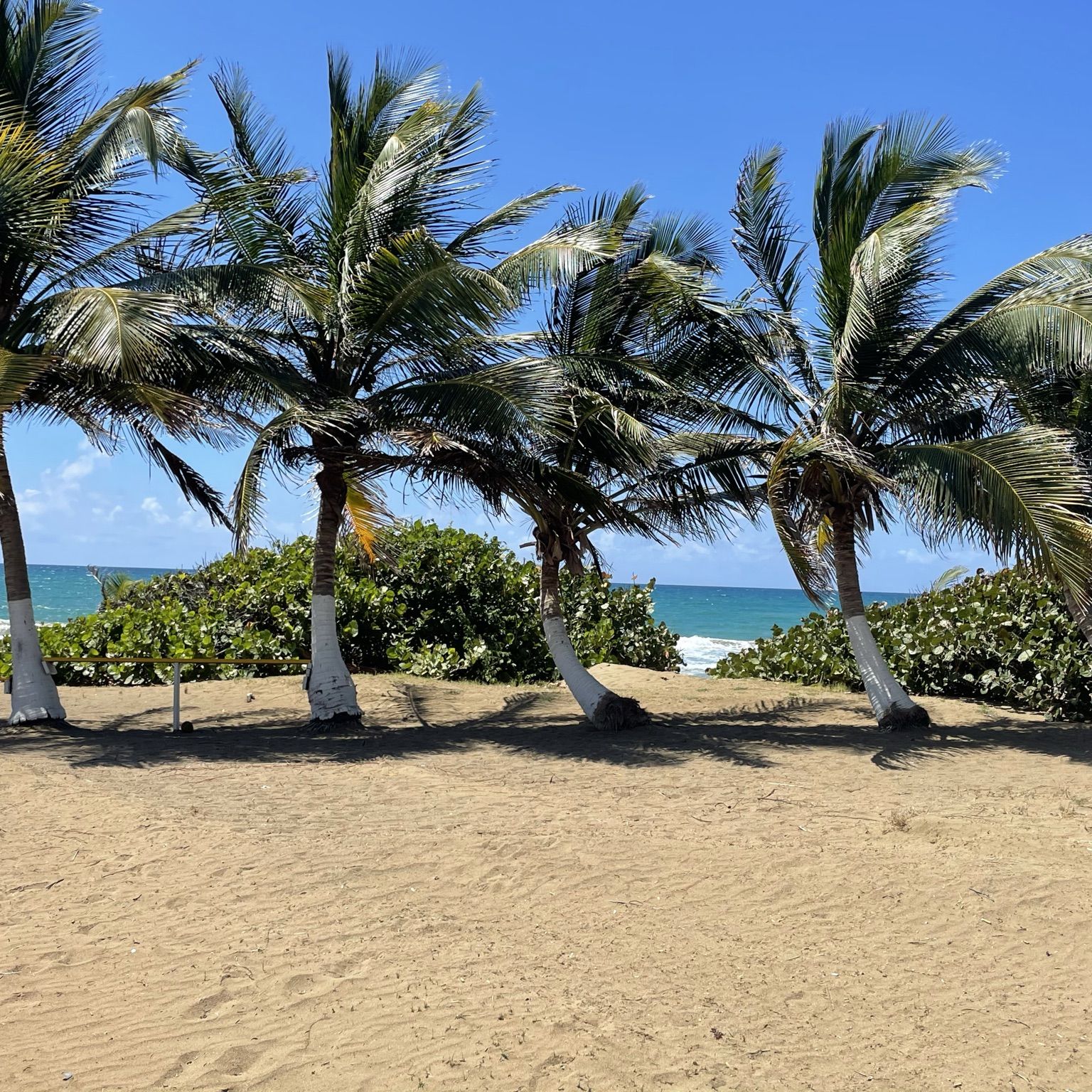 Profile of Ray Addarich