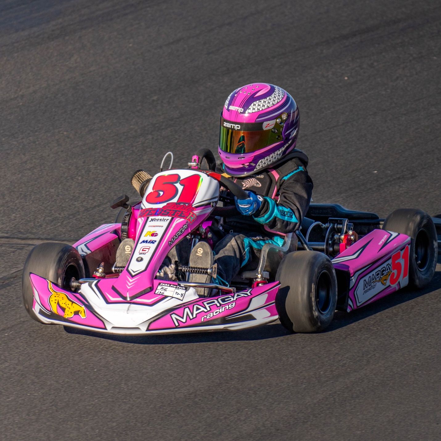 Profile of Everly Webster