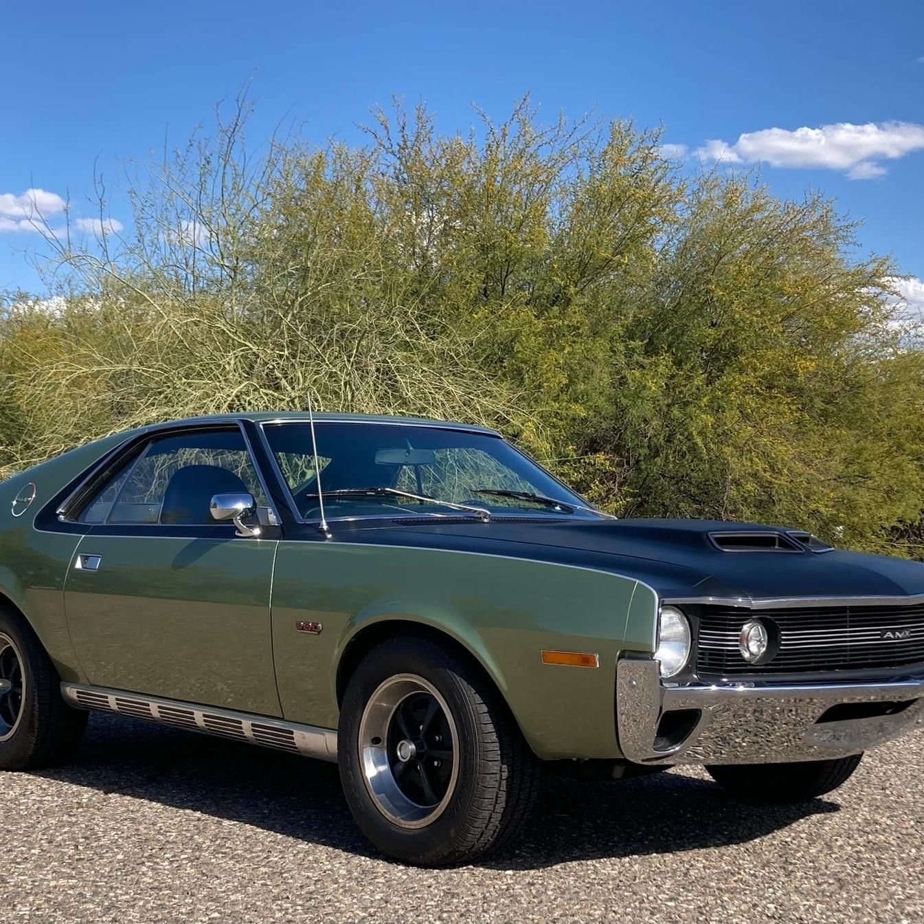 Profile of Steve Cowgar