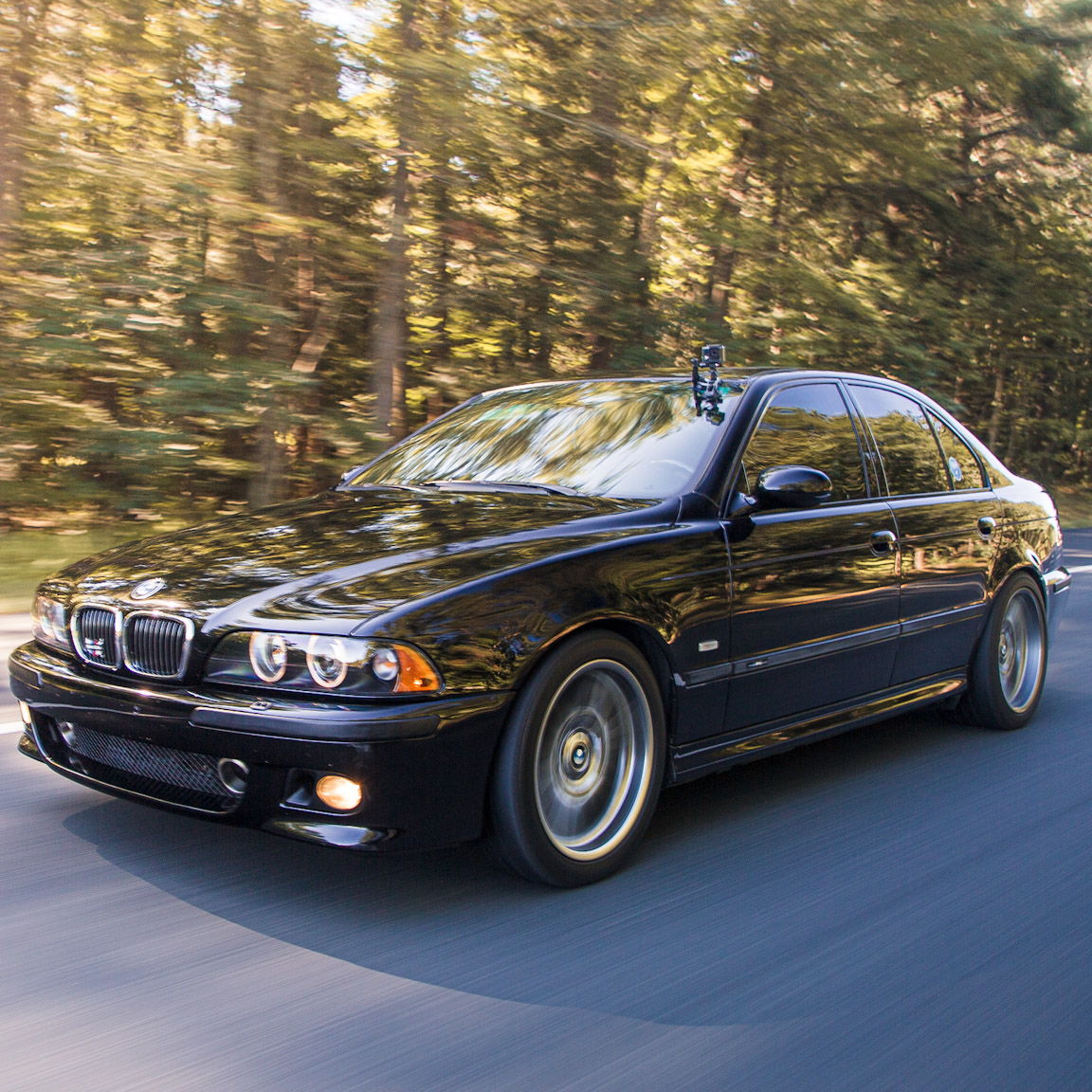 Profile of Elvis Torres