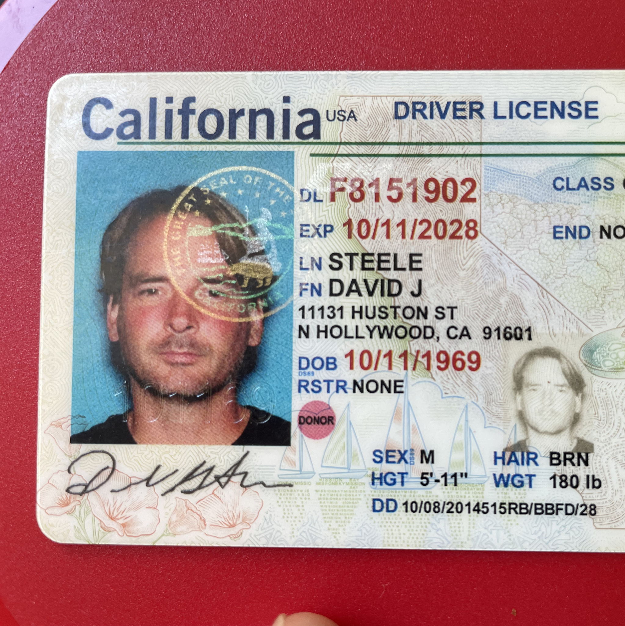 Profile of David Steele
