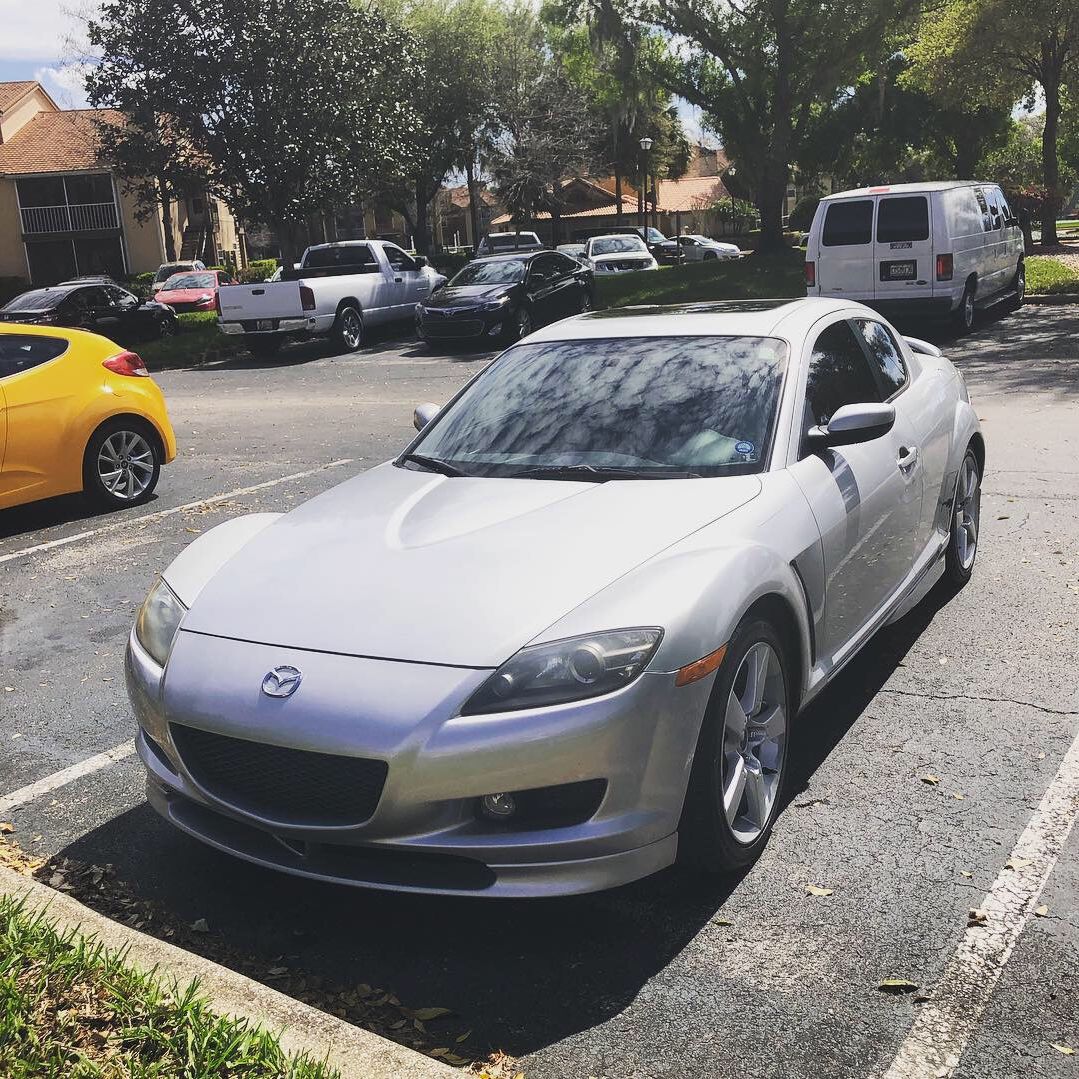 Profile of Paul Wilson