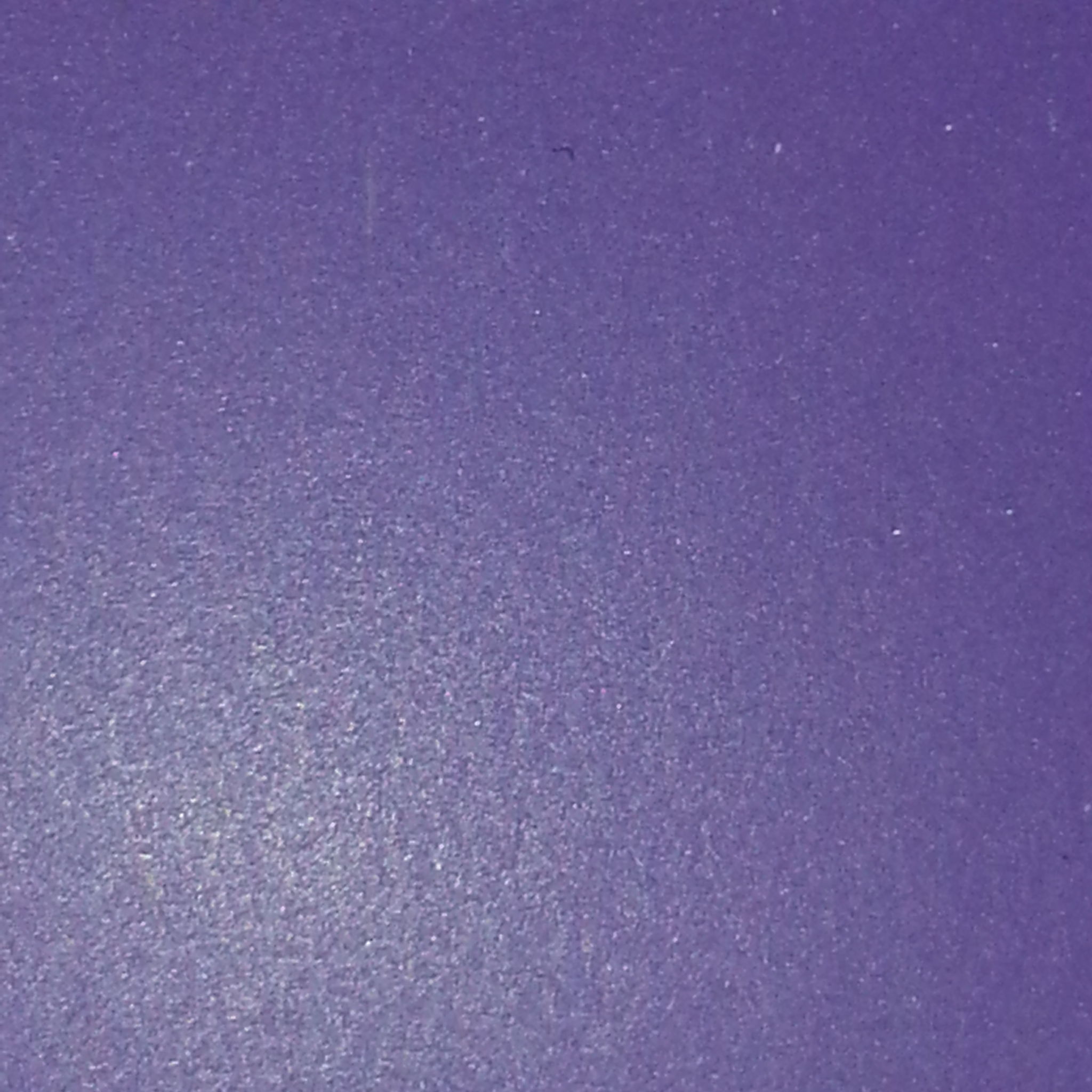 Profile of Robin Webb