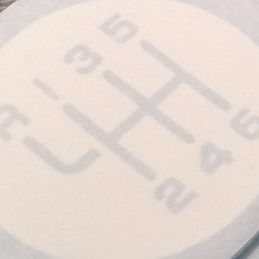 Profile of Gregory Wellman