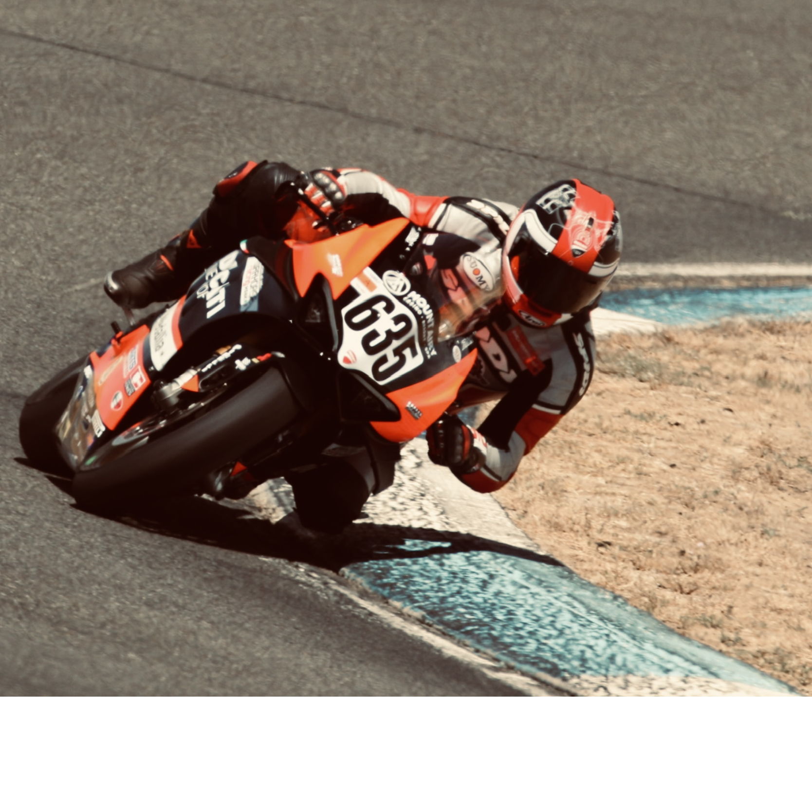 Profile of Stuart Logan
