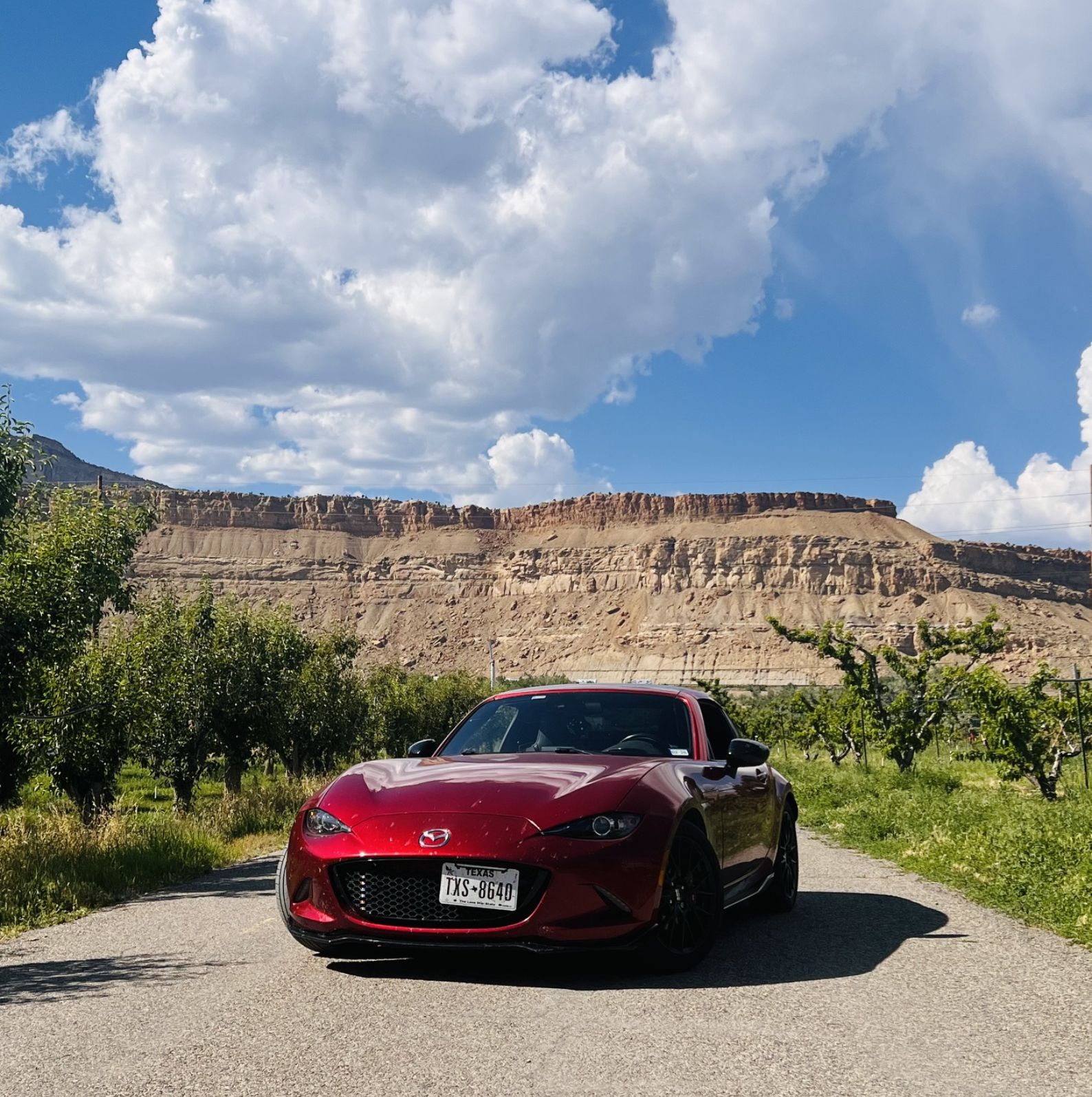 Profile of William Cassin