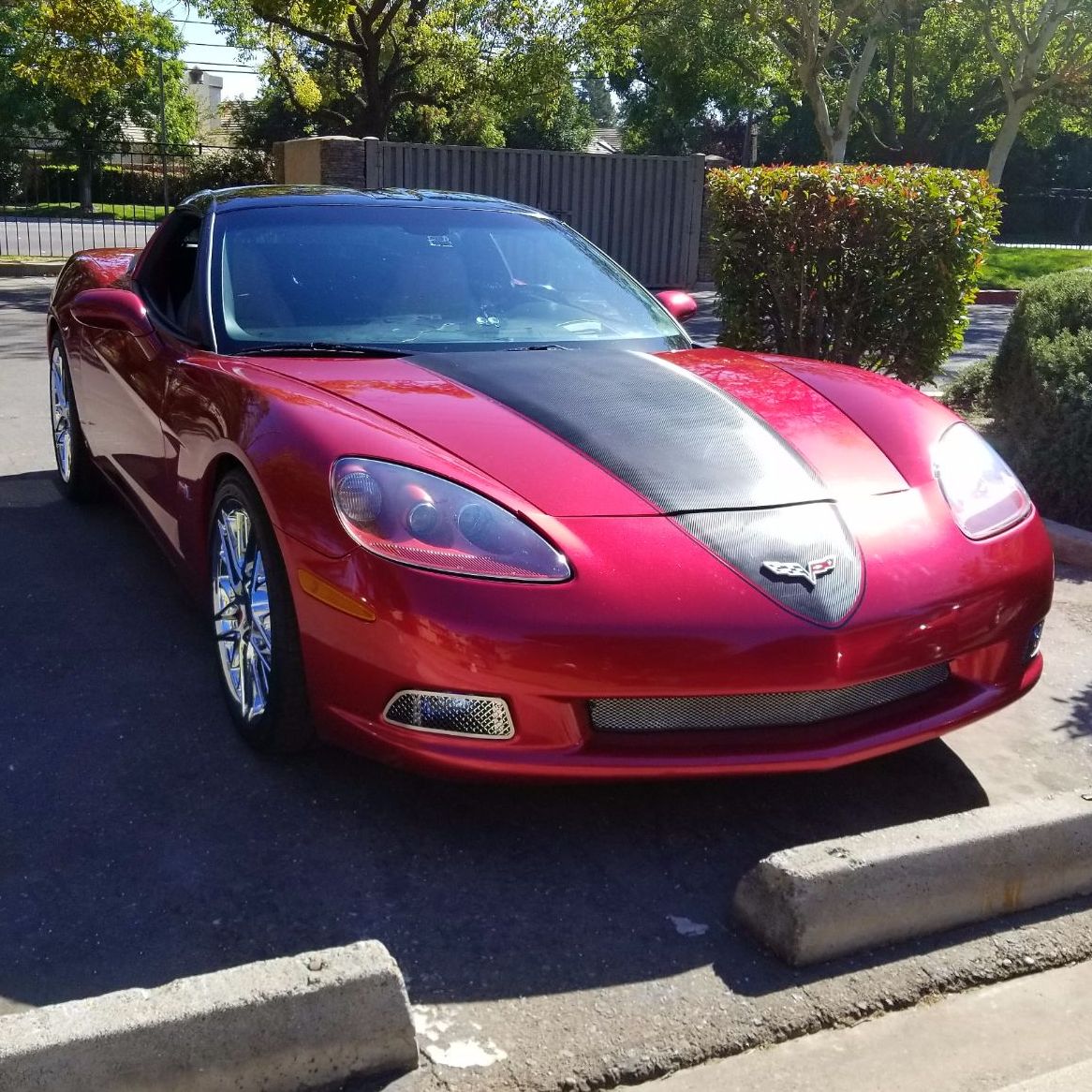 Profile of Ivory Bisbee