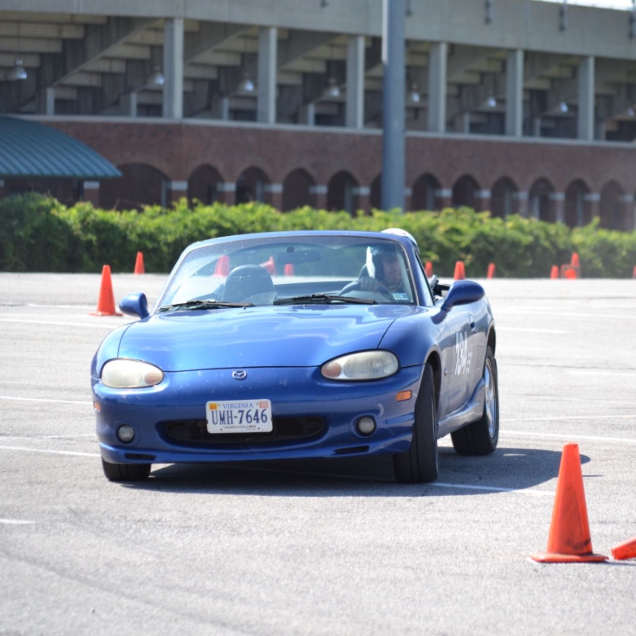 Profile of Tony Steier