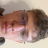Profile of Matthew Young