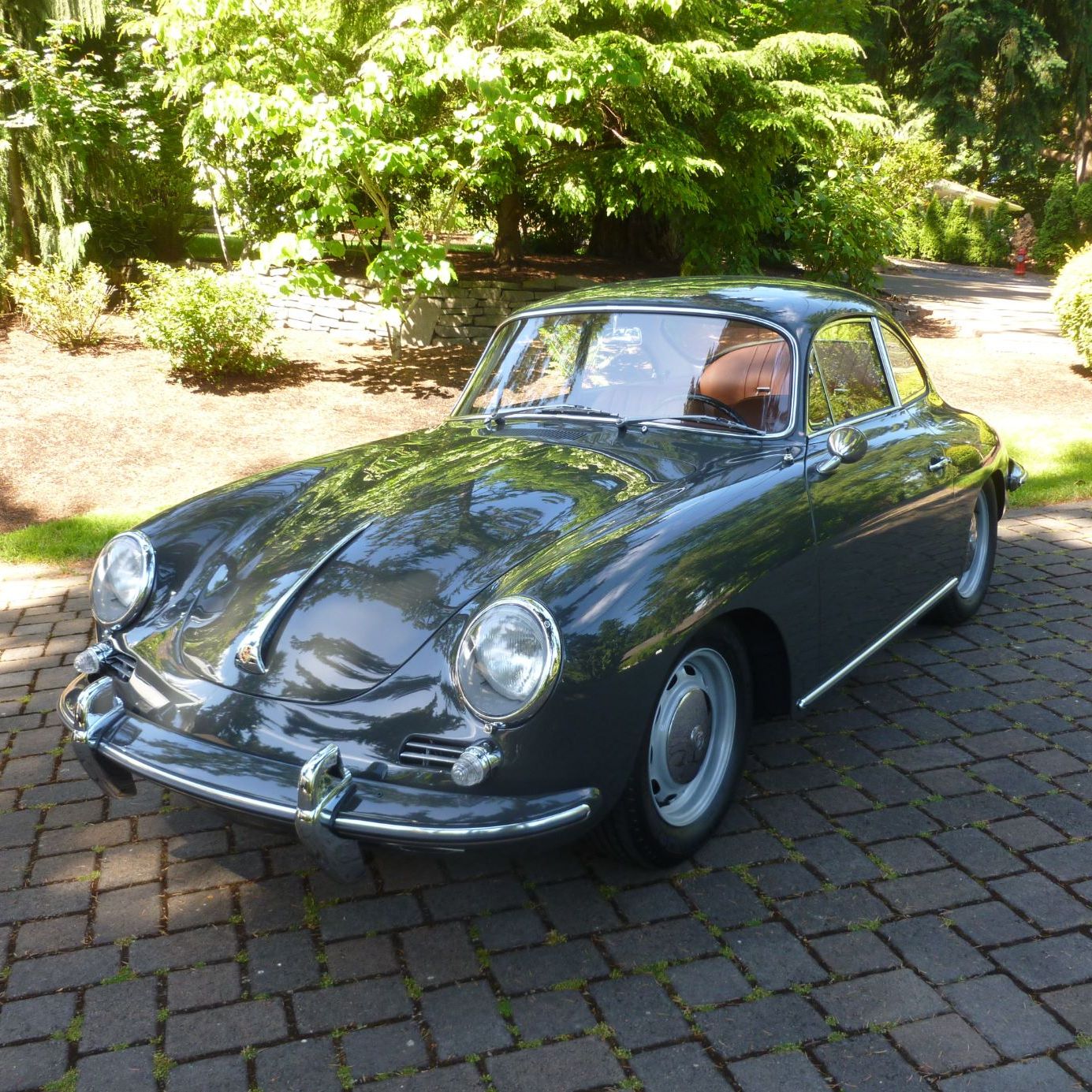 Profile of Faryl M. Ammon