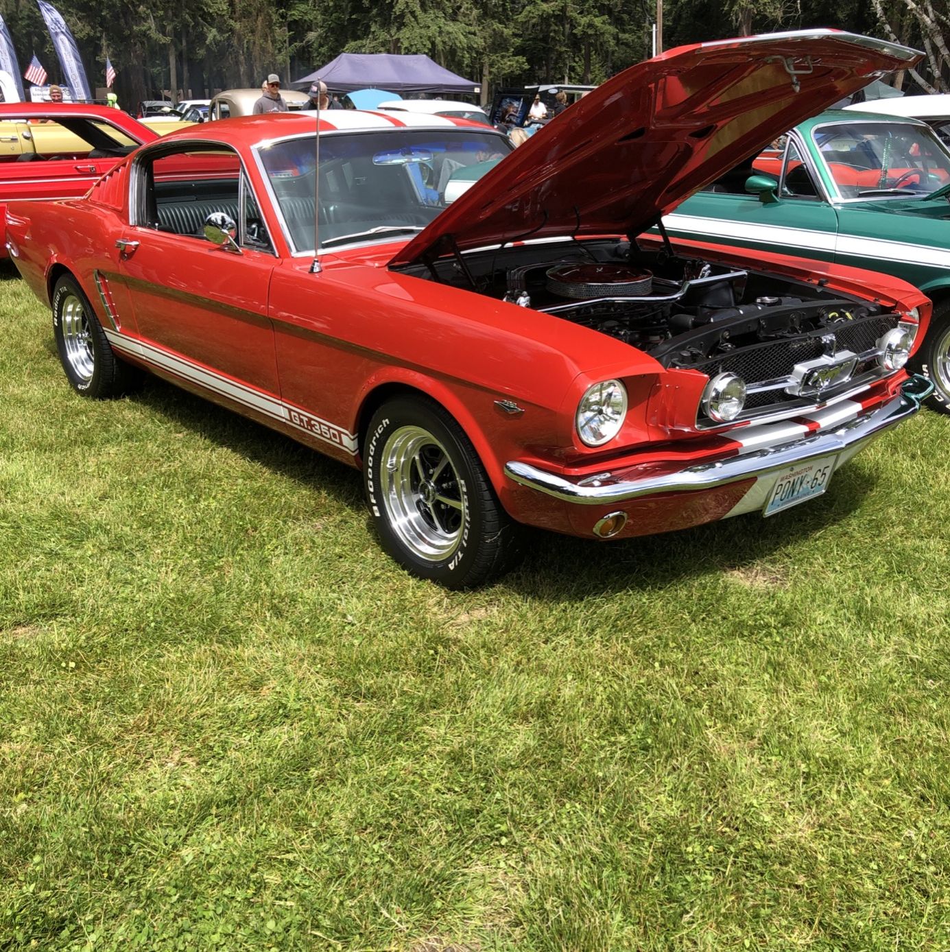 Profile of David Lane