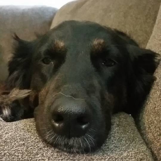 Profile of Tim Ritter