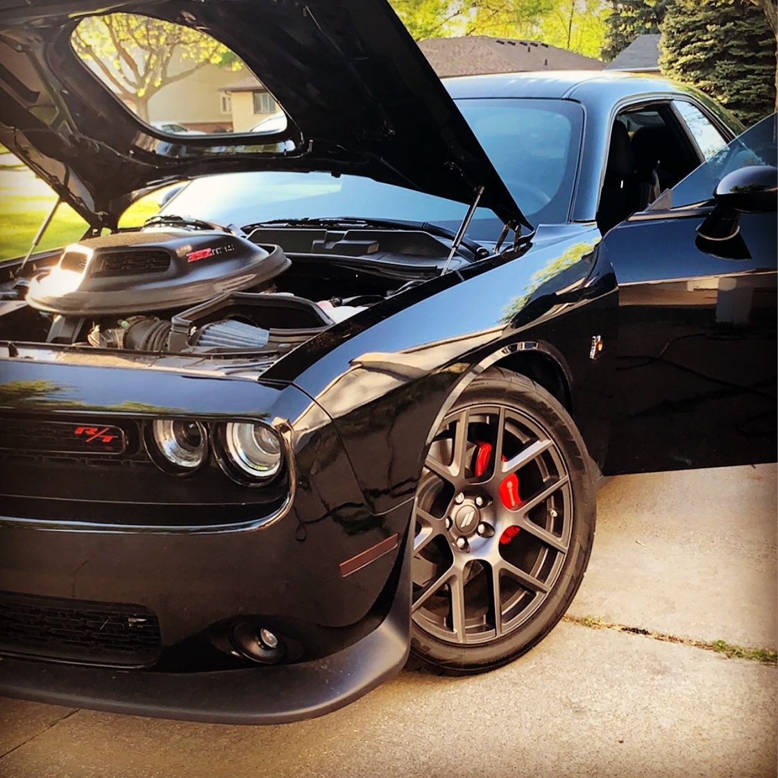 Profile of Chris Judkins