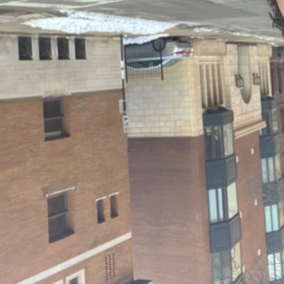 Profile of Howard Harris