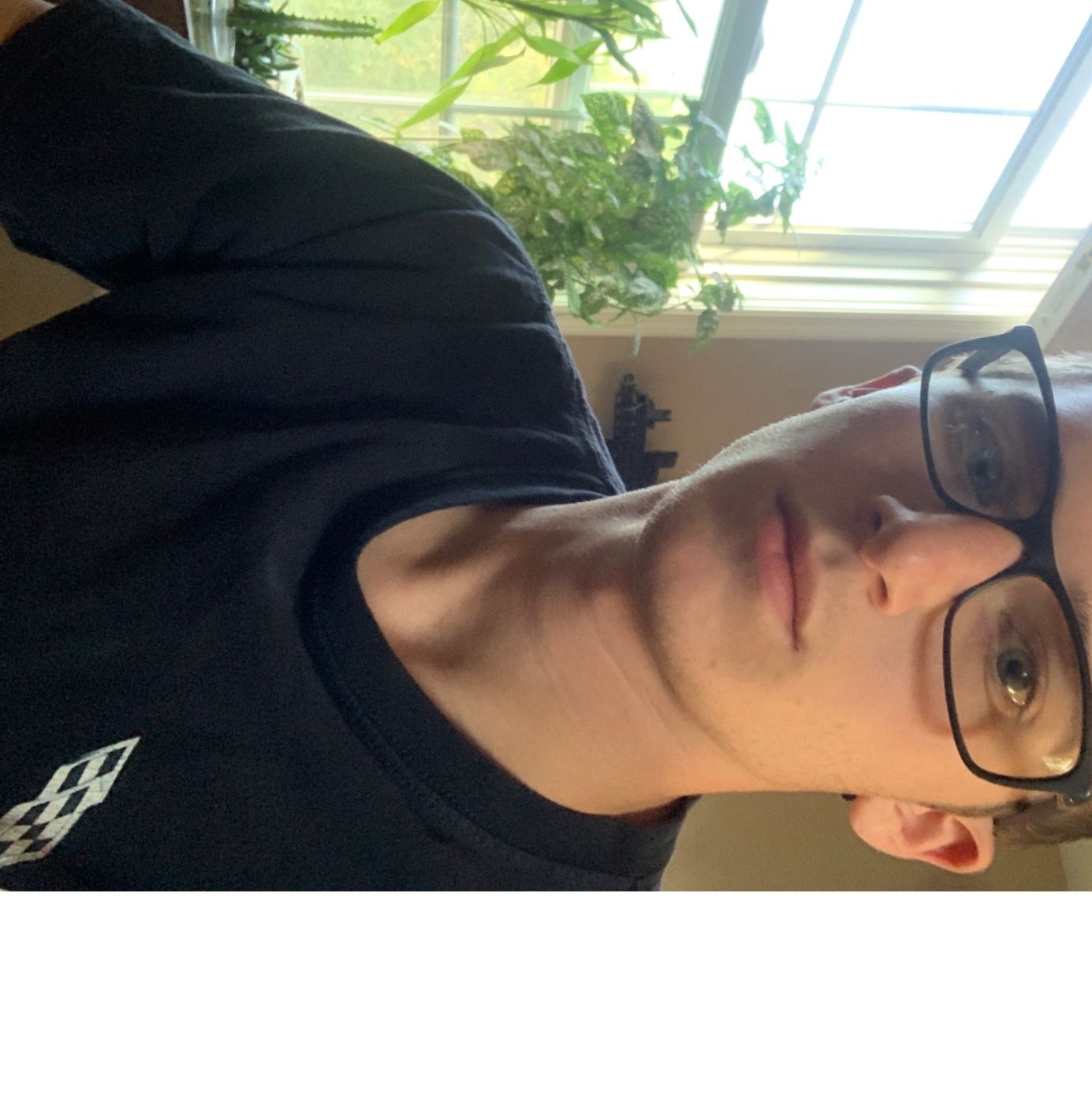 Profile of Austin Rook