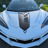 Profile of gregg mcnabb