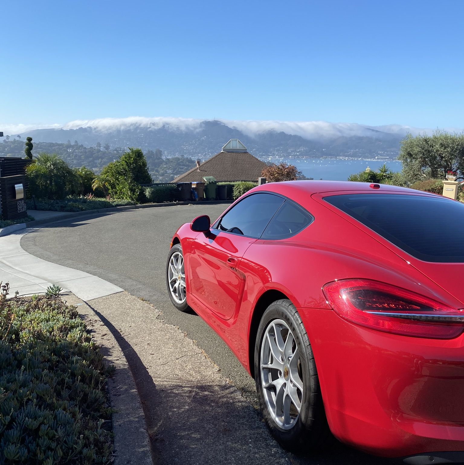 Profile of AJ Shepard