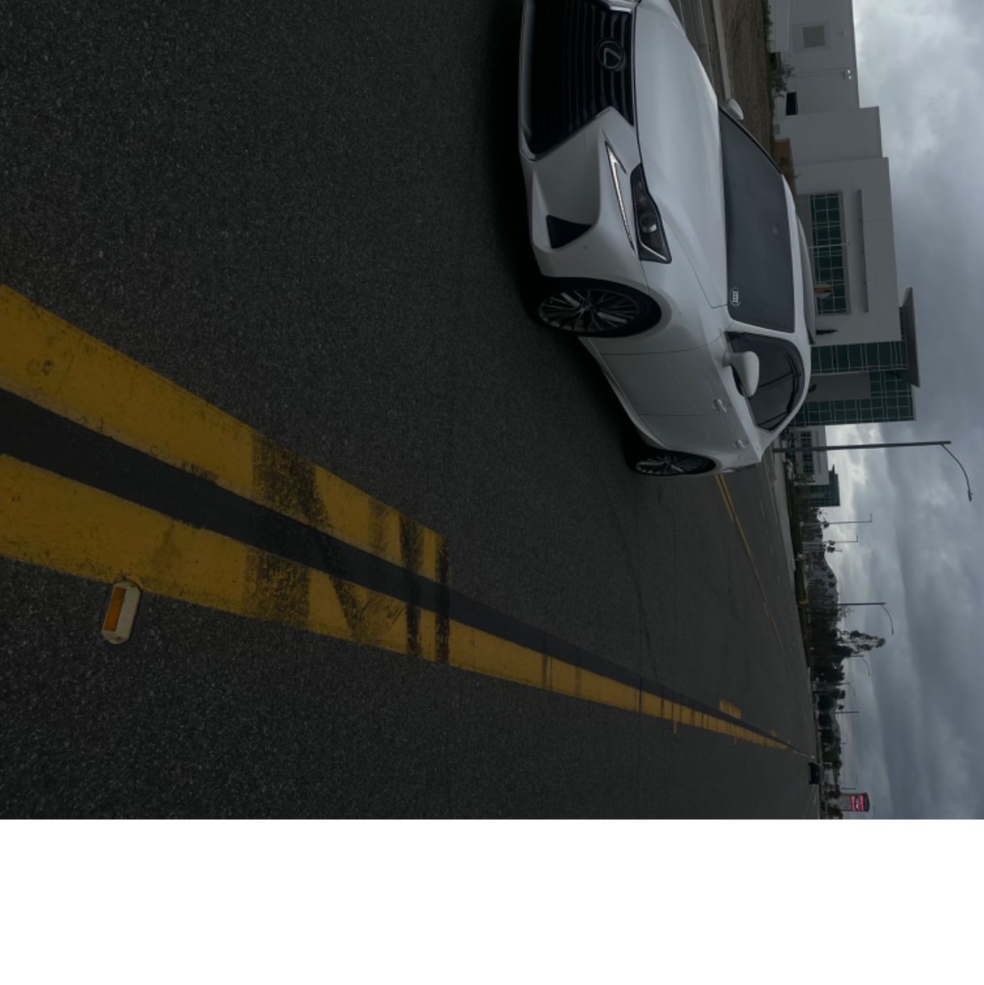 Profile of Antonio Rocha