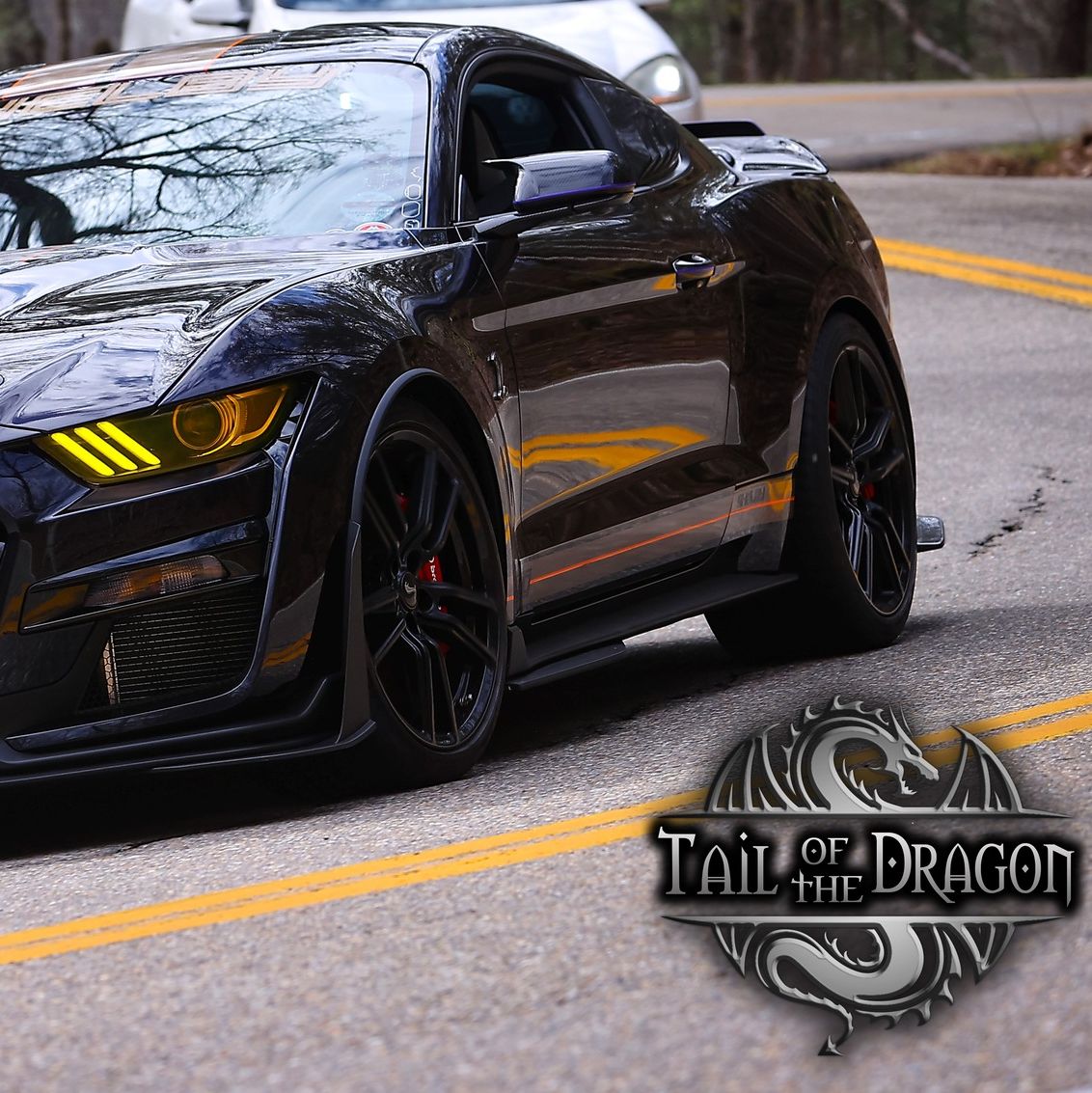 Profile of Dave Woodman