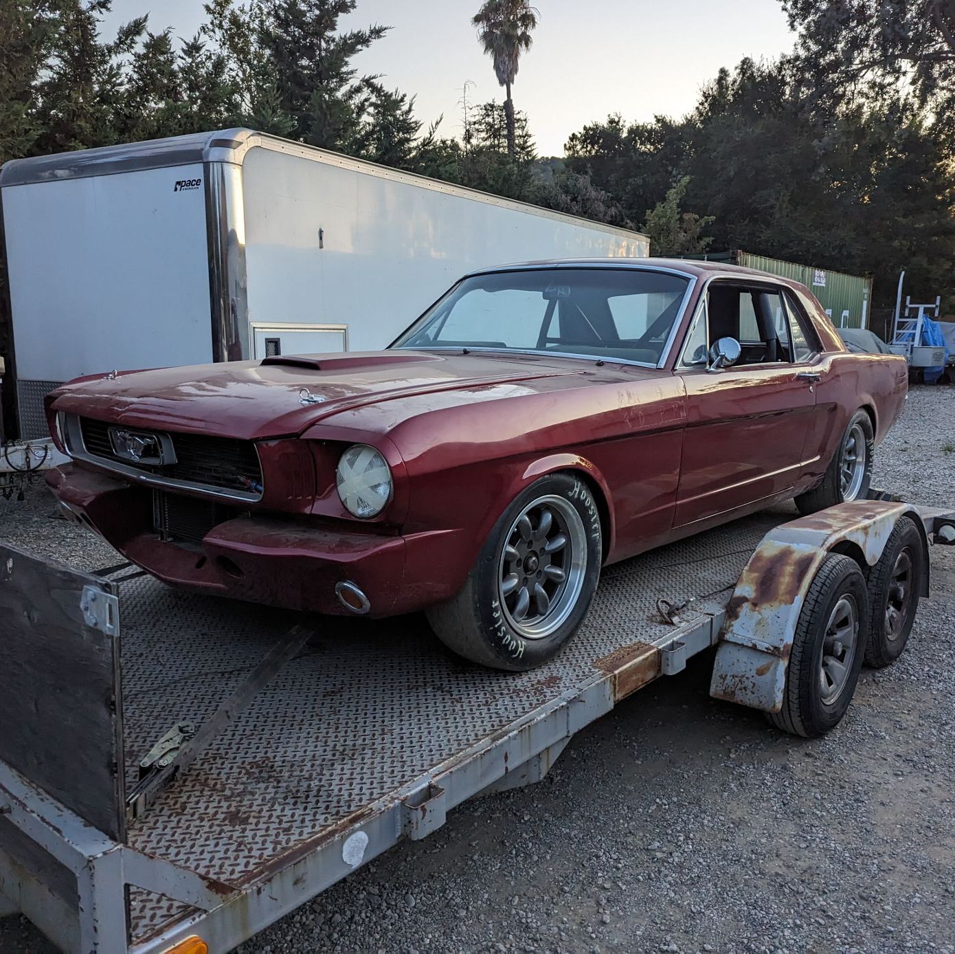 Profile of Mitchell Hoover