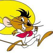 Profile of Eric P. Budai