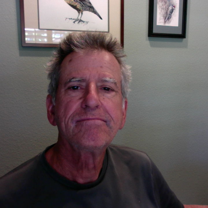 Profile of Andrew Shore