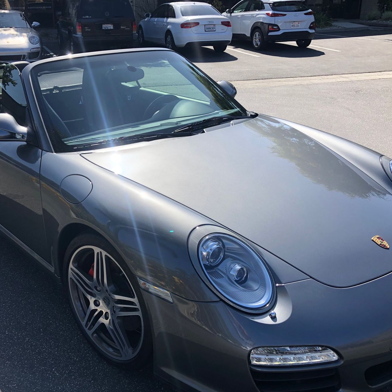 Profile of William Mayne