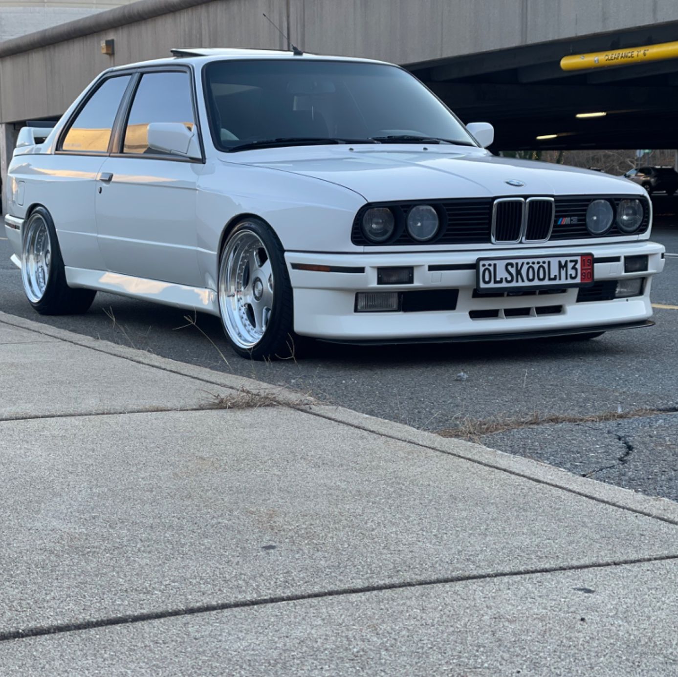 Profile of Efrain Almonte