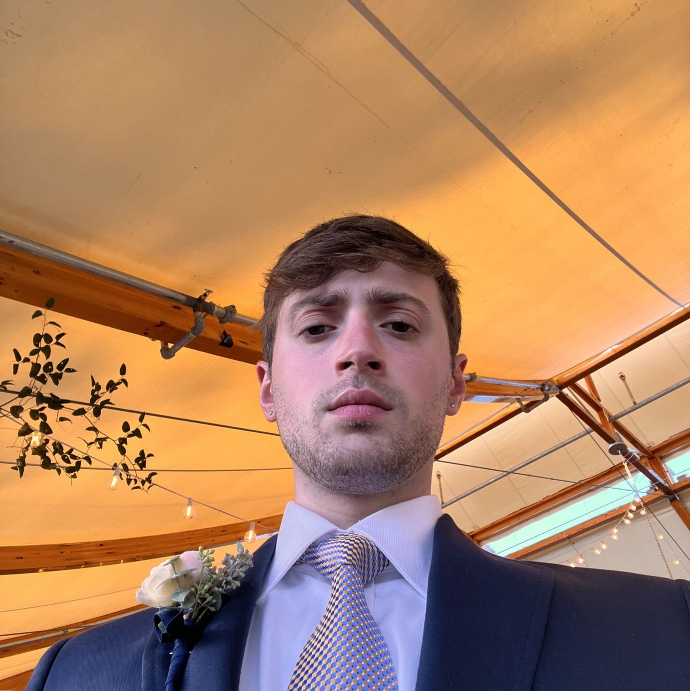 Profile of Louis Cervone