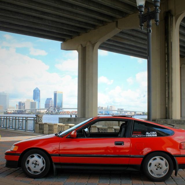 Profile of Nicholas Gibson