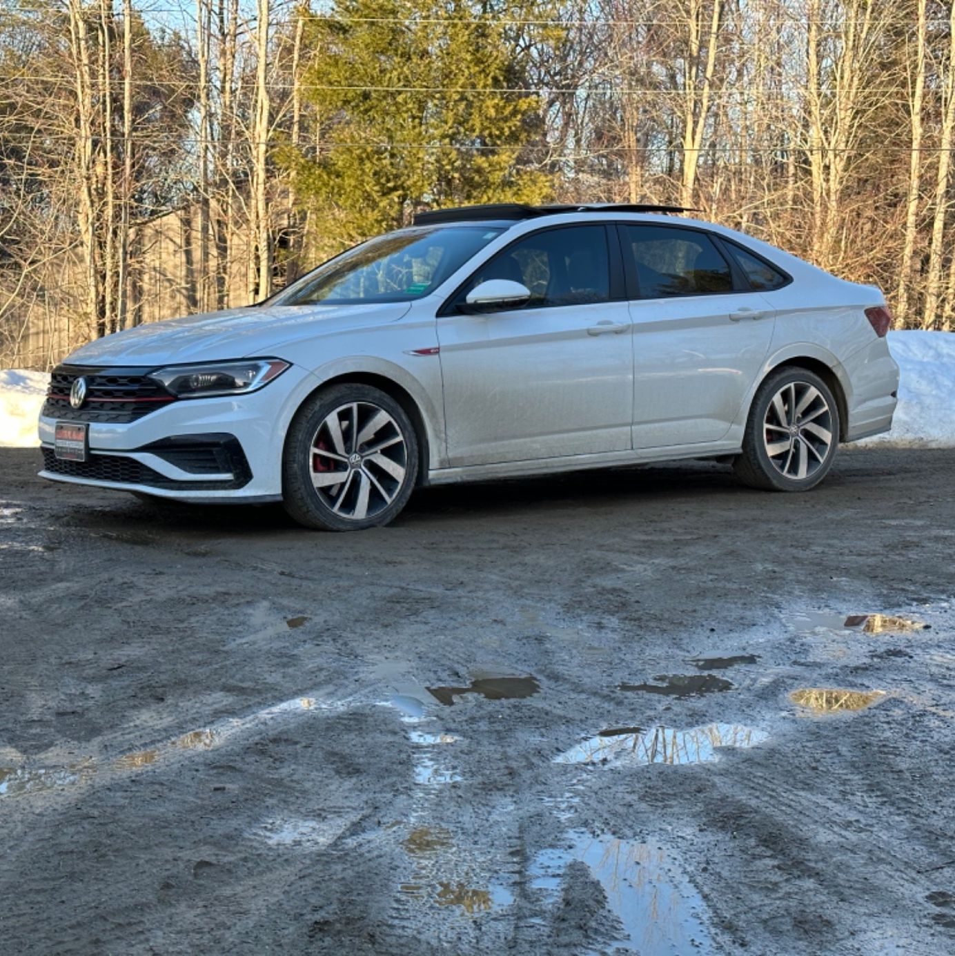 Profile of Tristan Shute