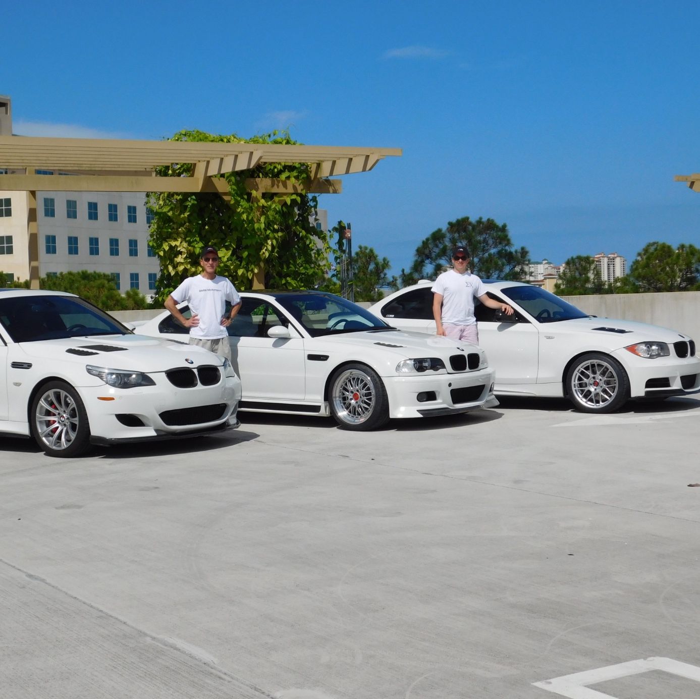 Profile of Mark Williamson