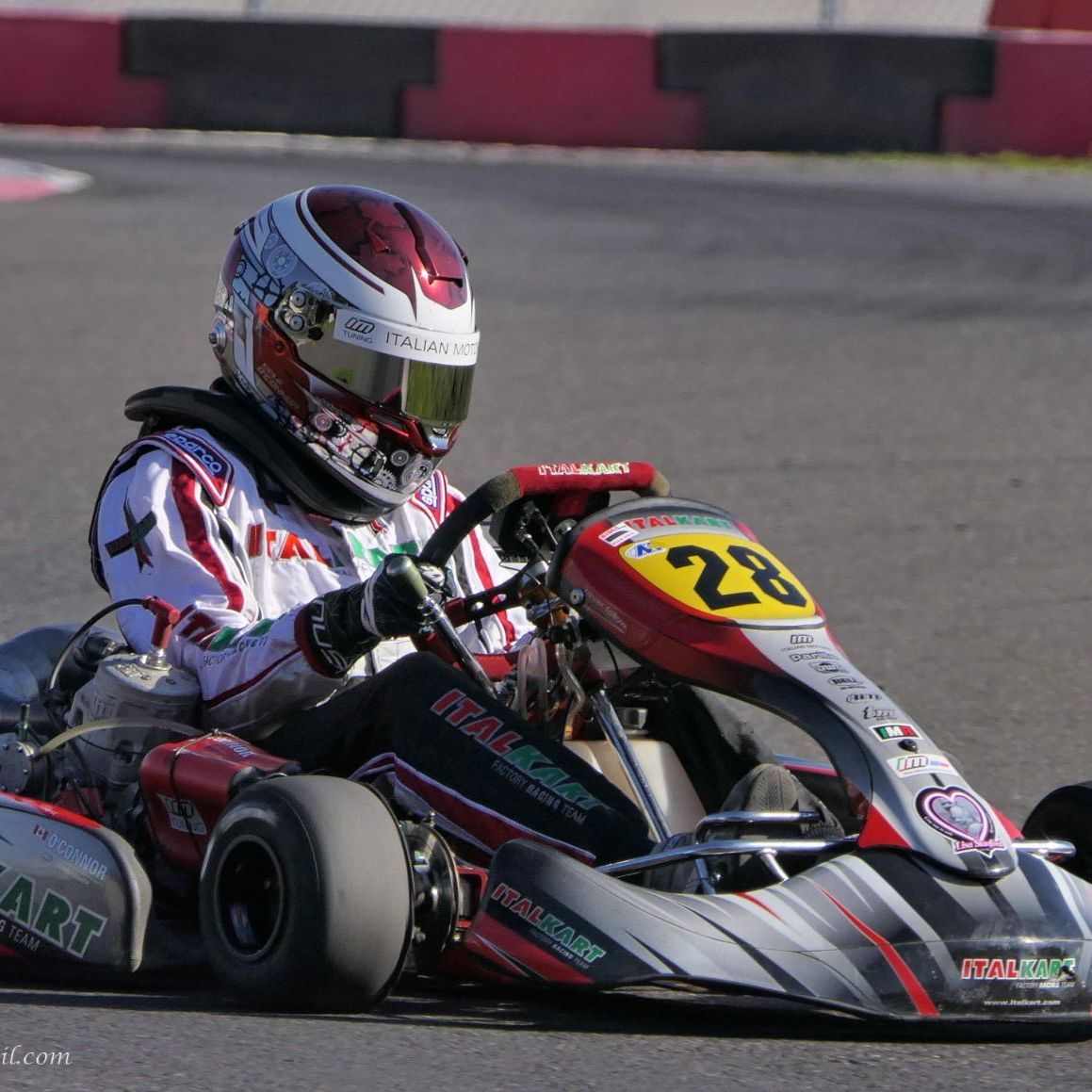 Profile of Cole O'Connor