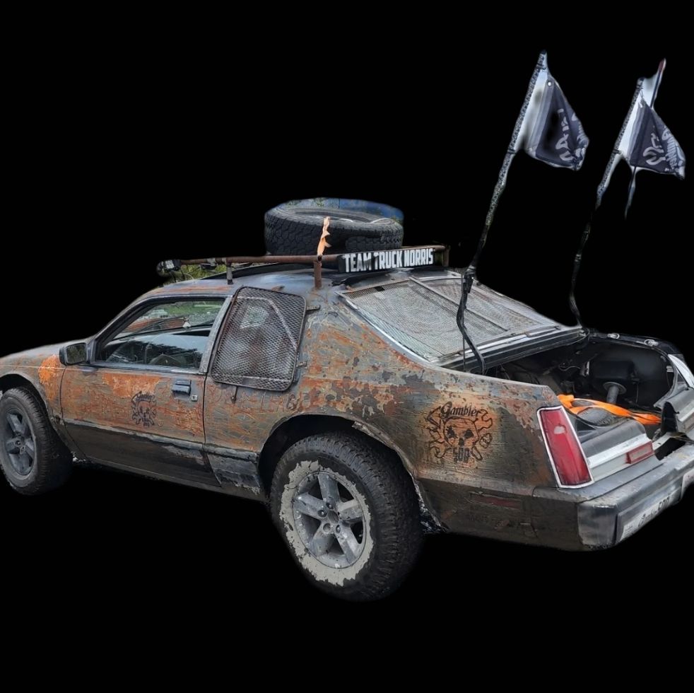 Profile of Toni Mann