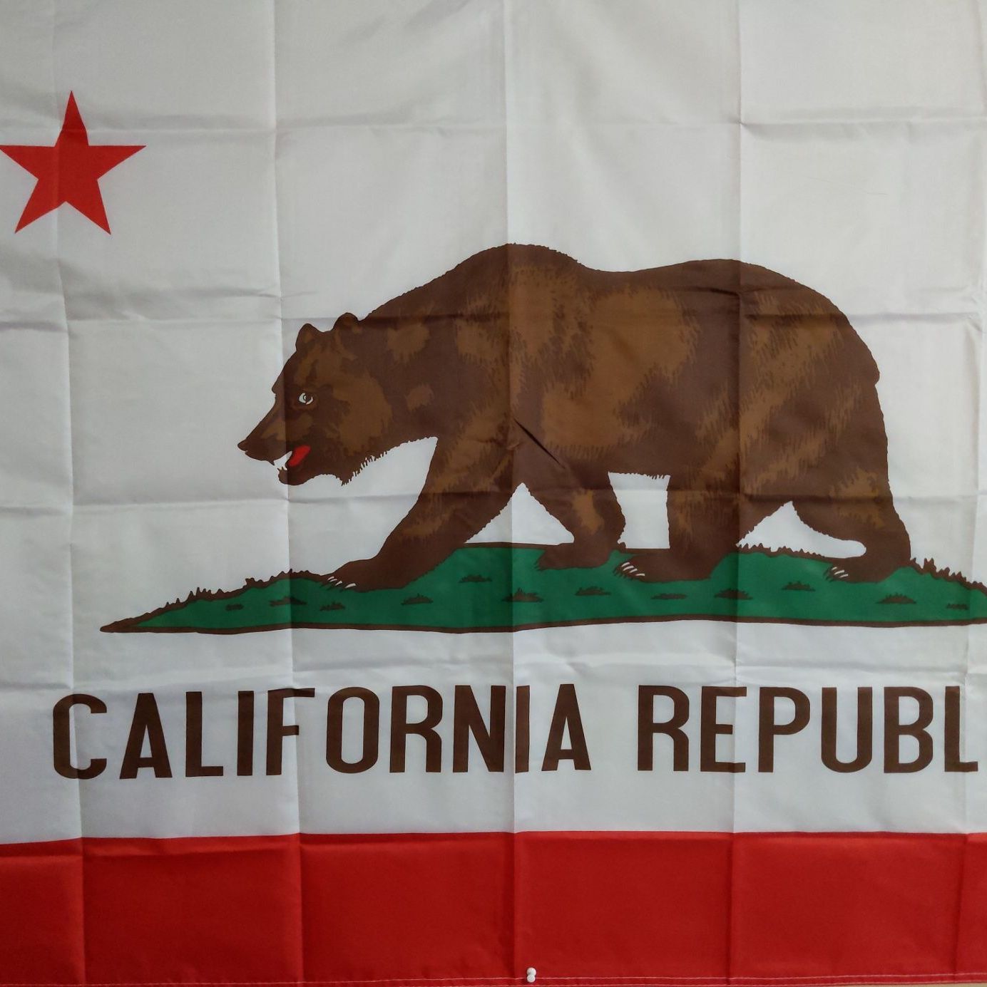 Profile of Steph Romany-Phipps