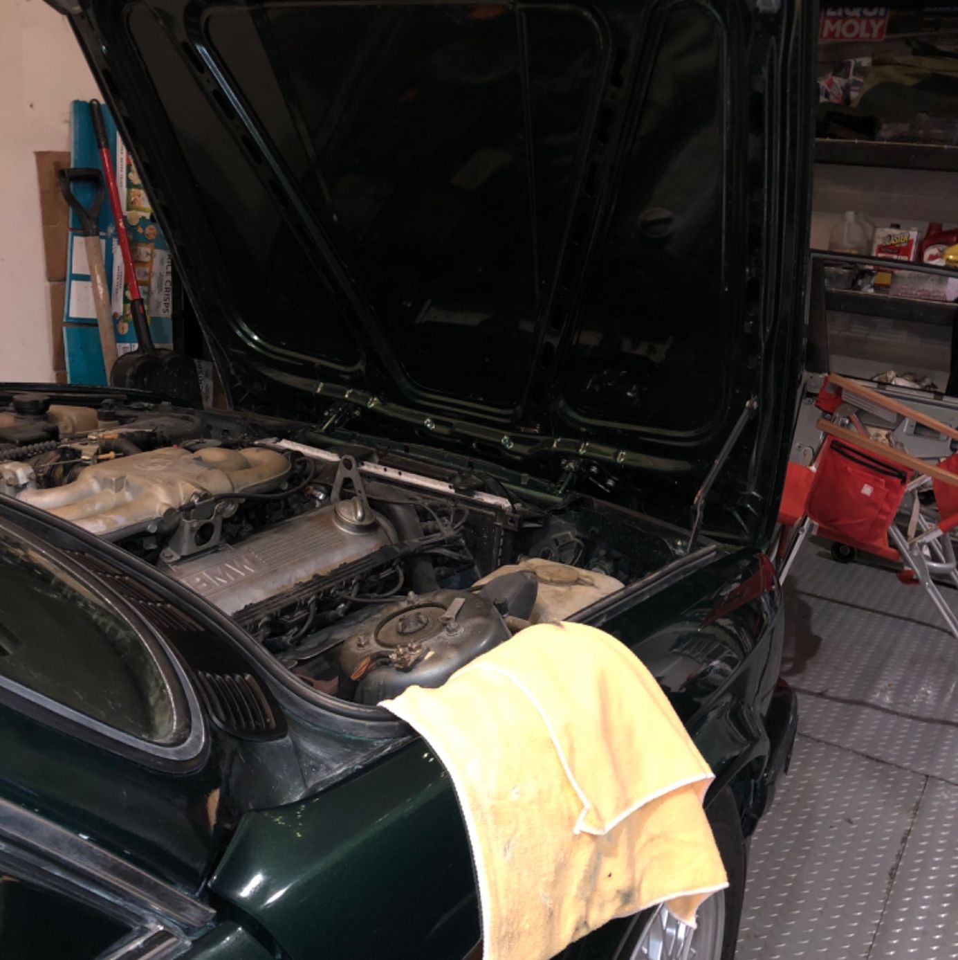 Profile of Reebs Naim