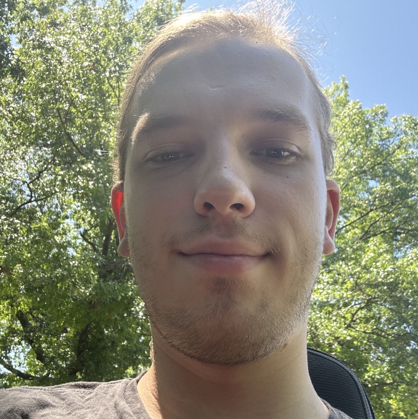 Profile of Anthony Hutton