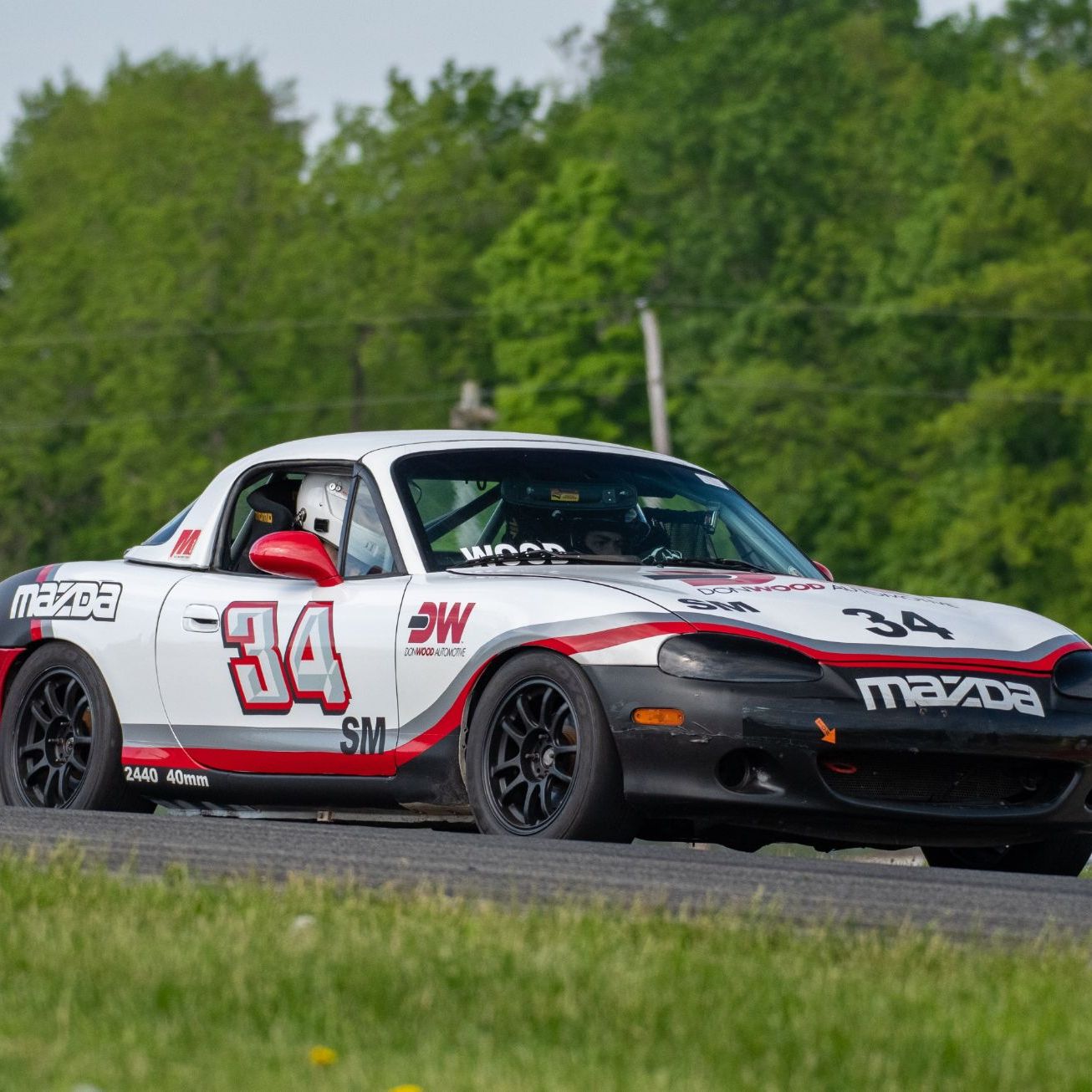 Profile of Wyatt Wood