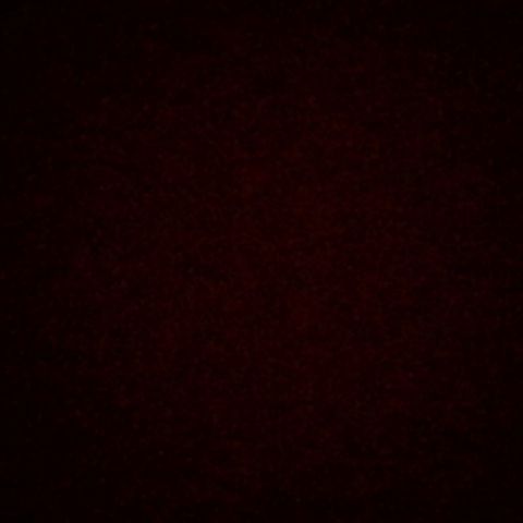 Profile of Sung hyun Park