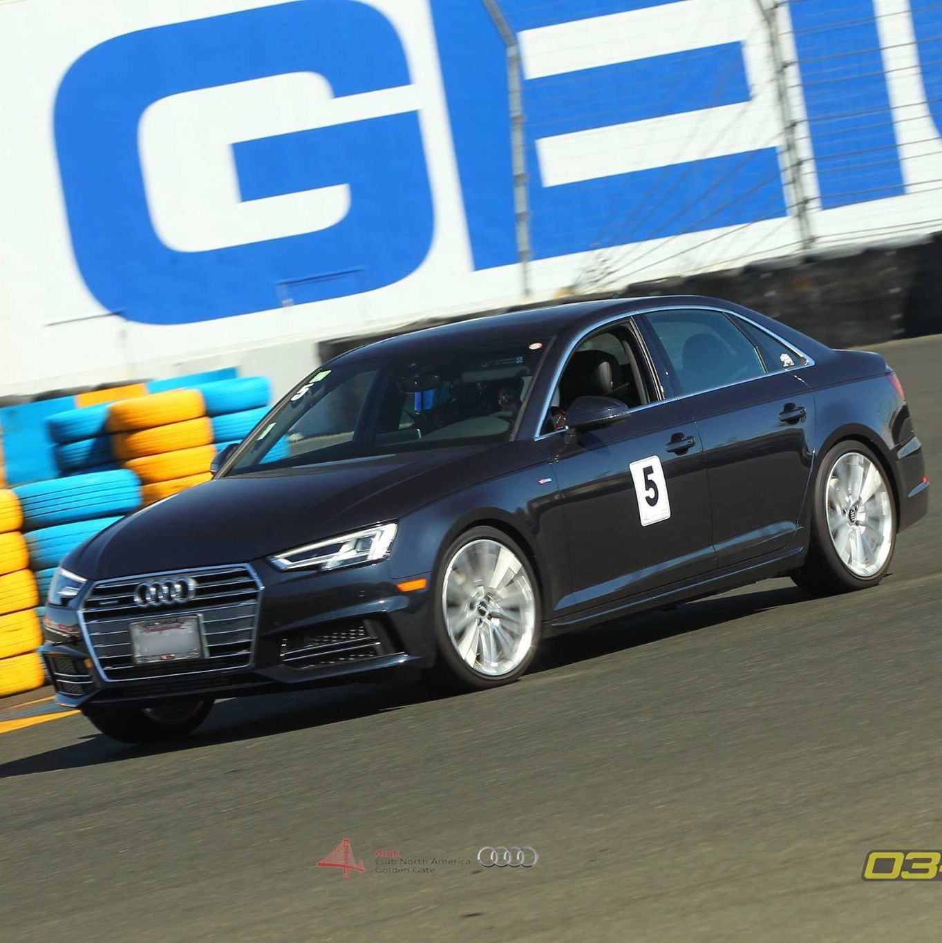 Profile of Julie Fletcher