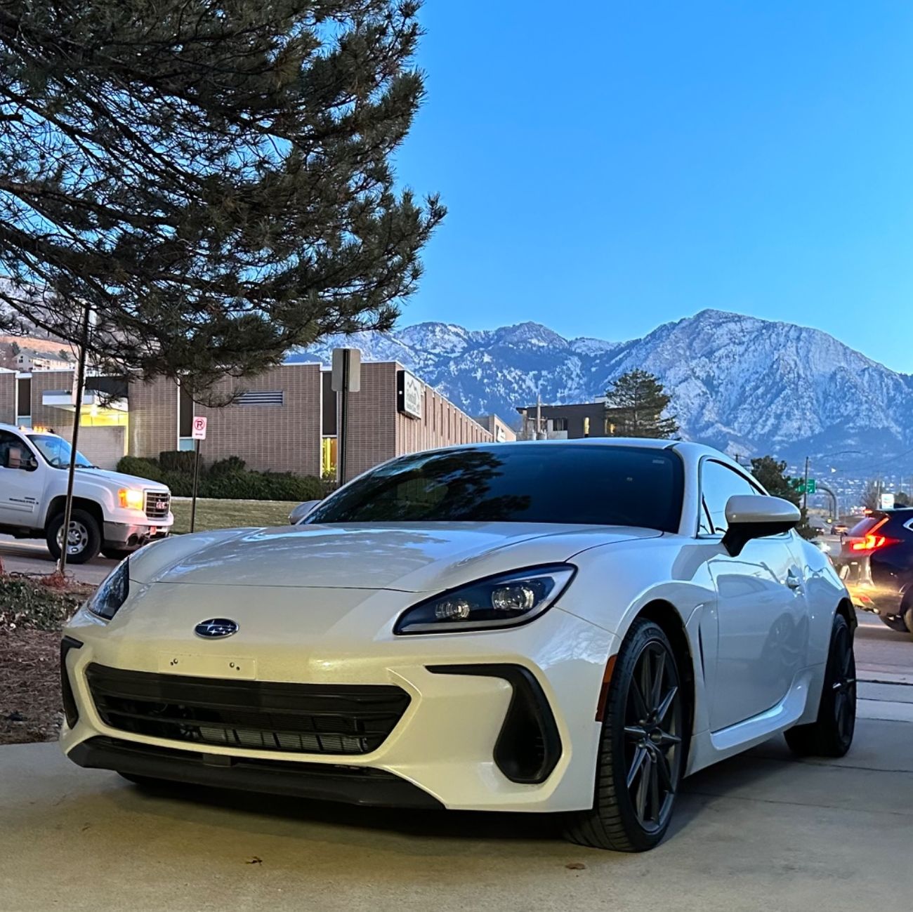 Profile of Dillon Hansen