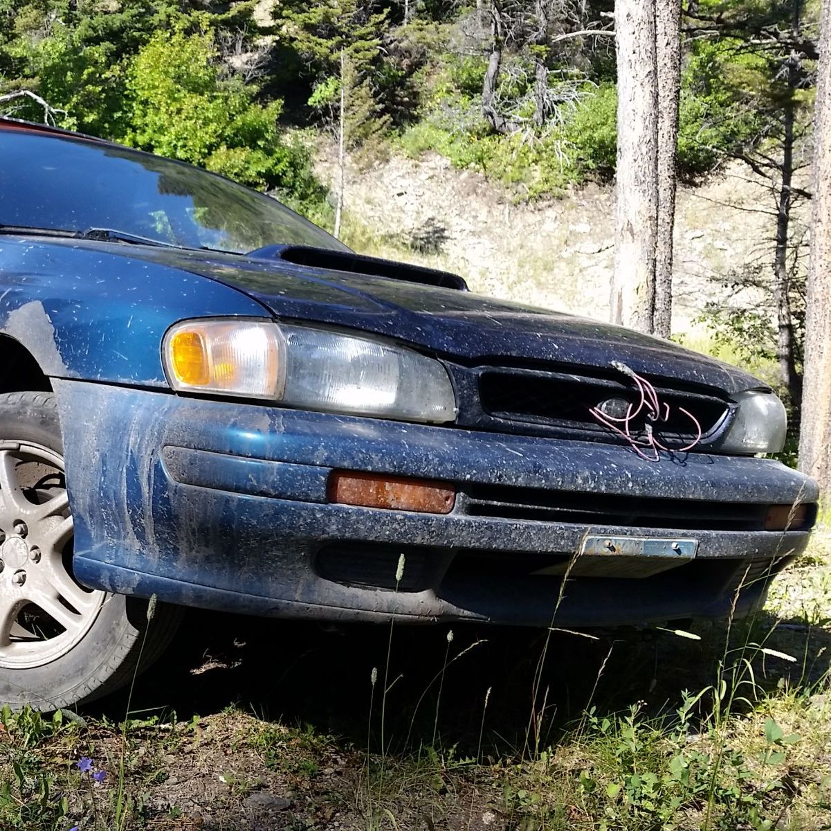 Profile of Cody Bruski