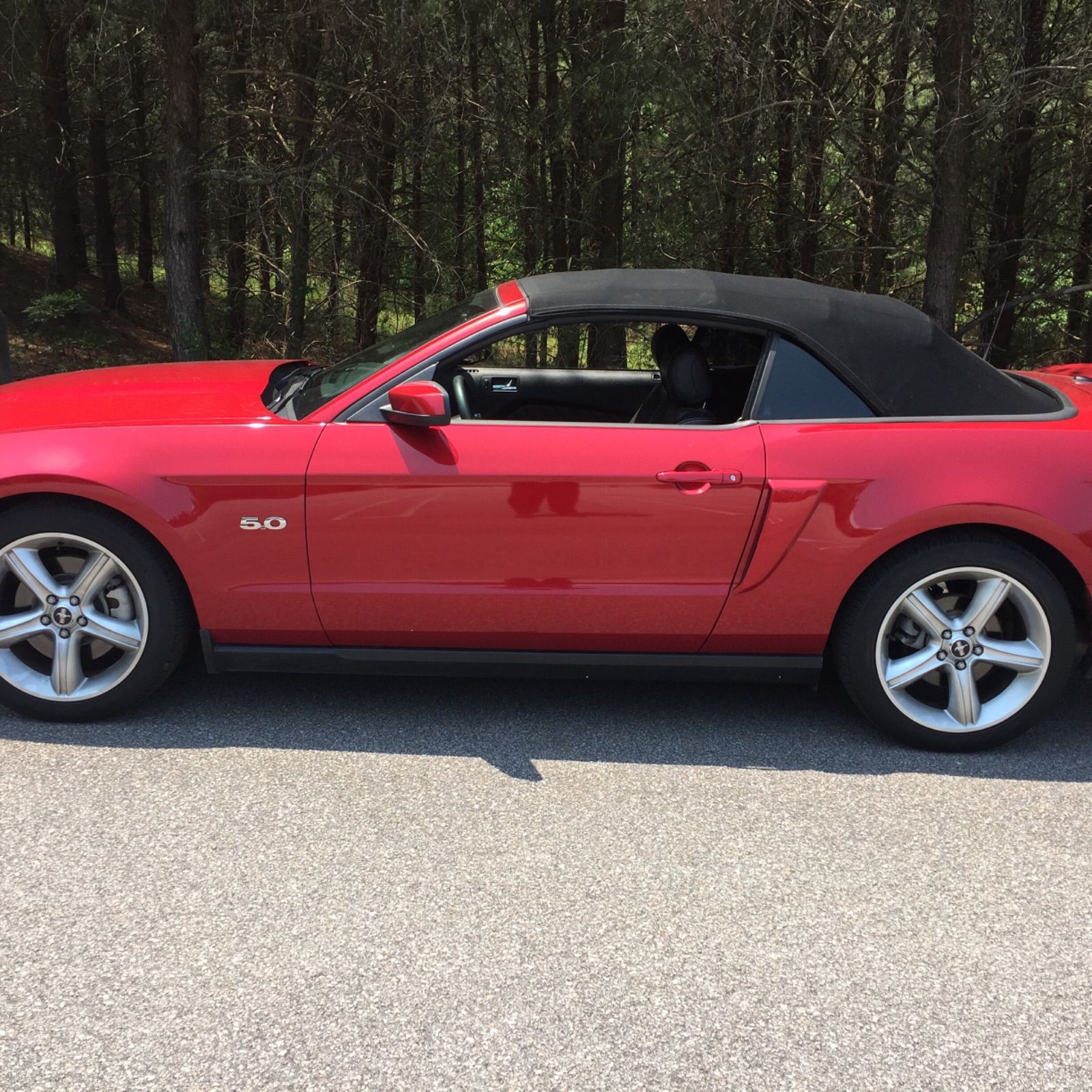 Profile of Randie Stephens