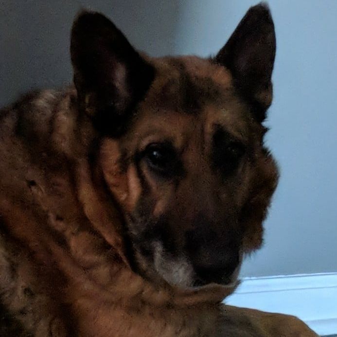 Profile of Bobby Jackson