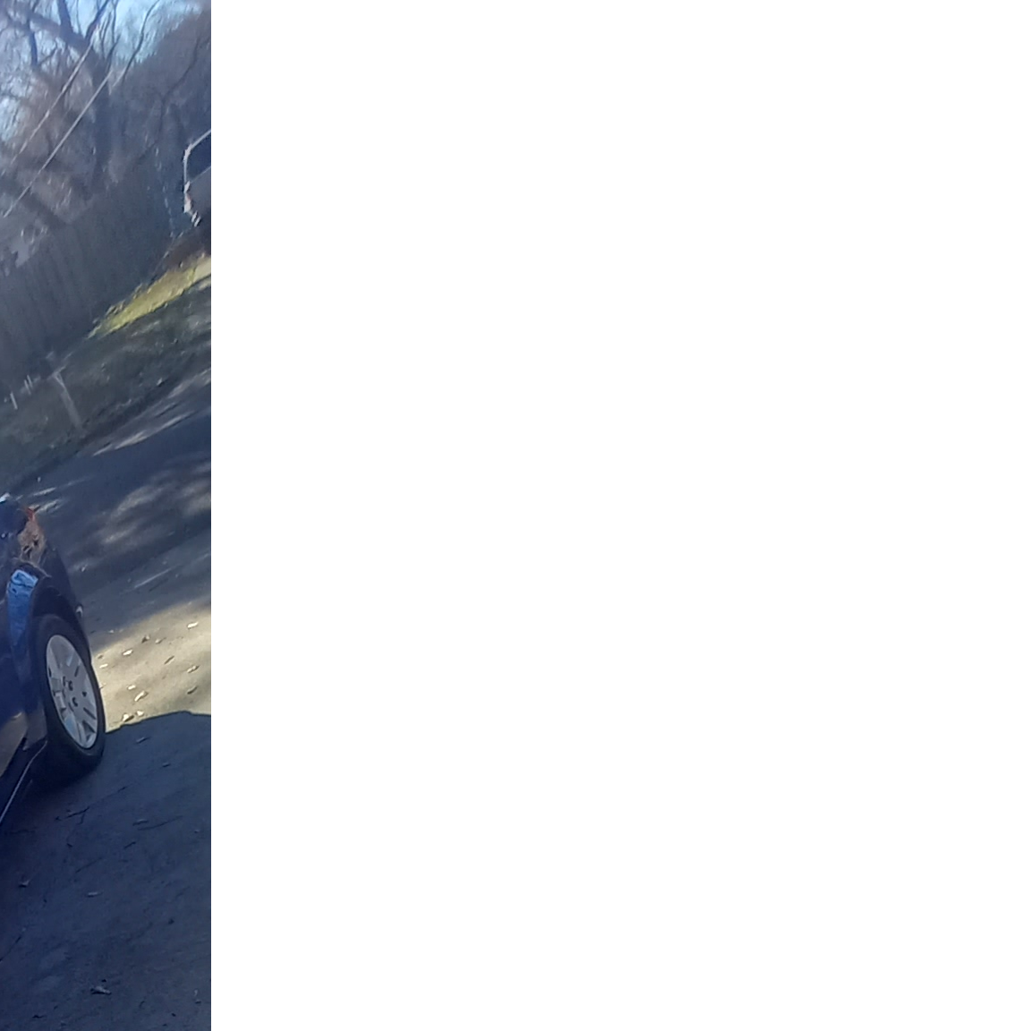 Profile of Albert Lewis