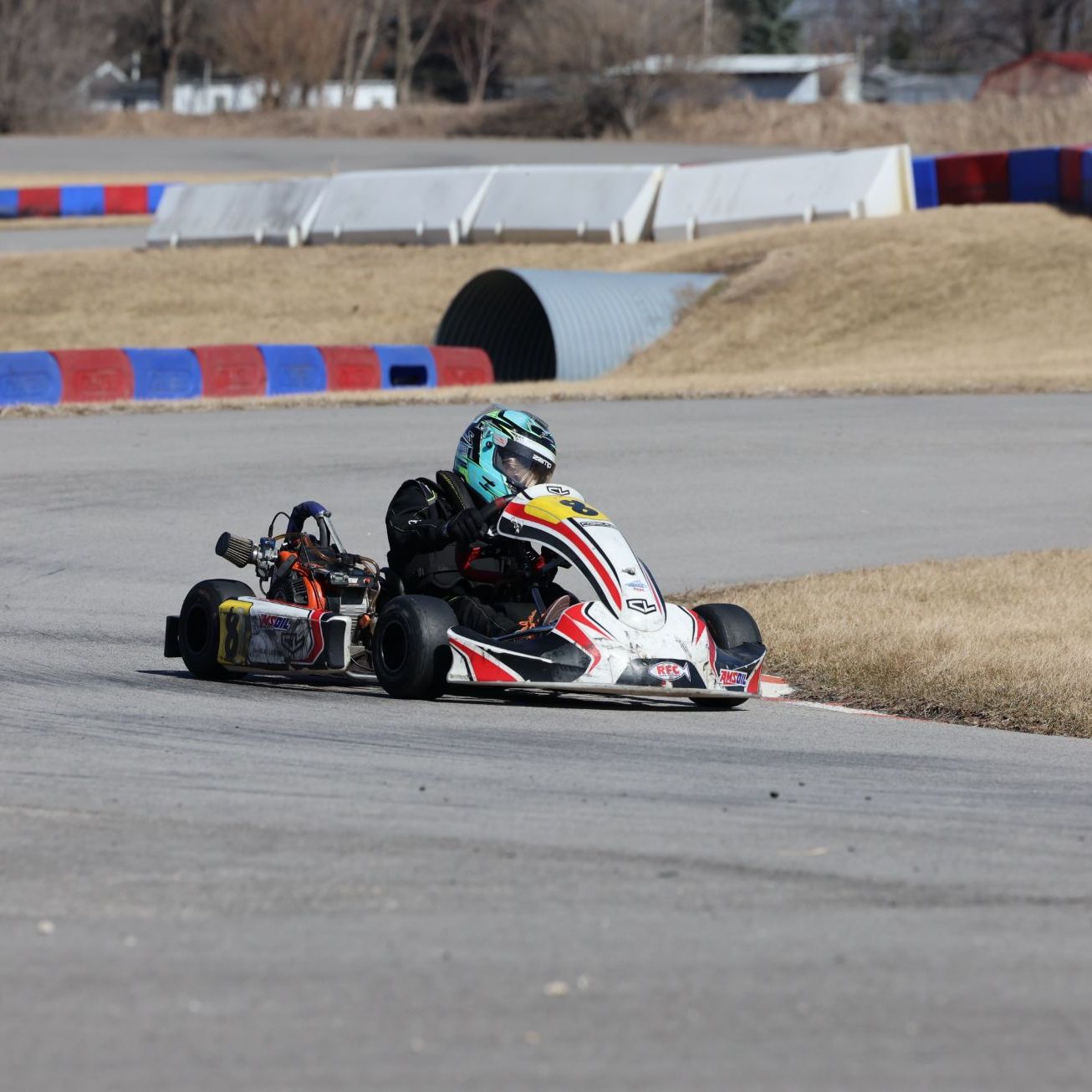 Profile of Teo Borowicz