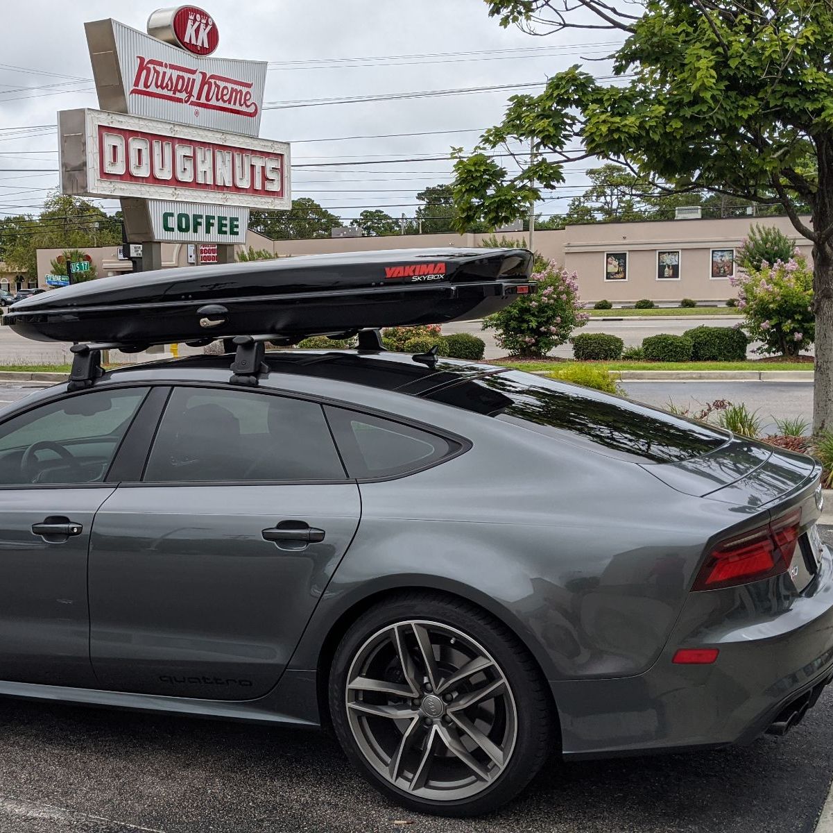 Profile of Jay Seifert