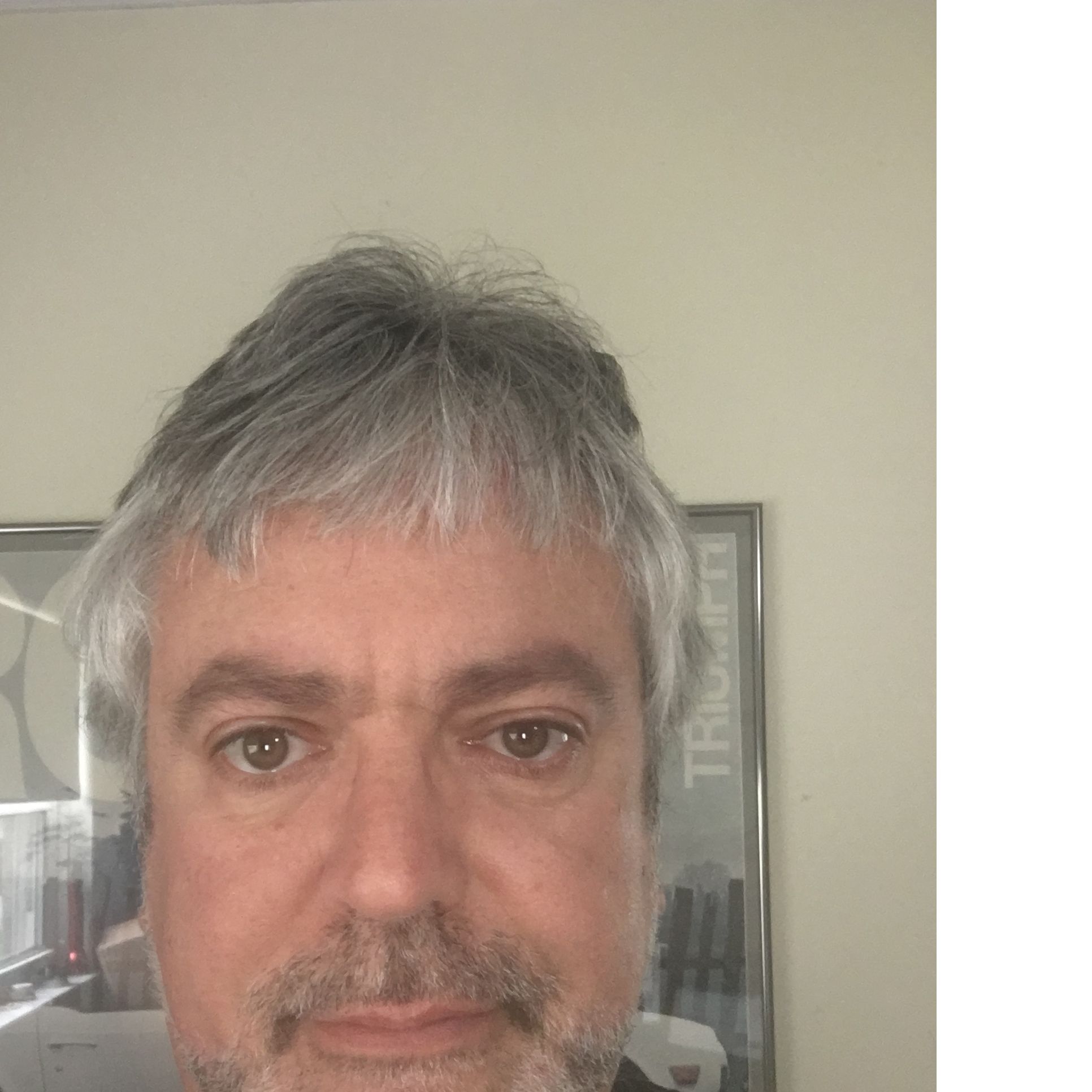 Profile of Todd Bermudez