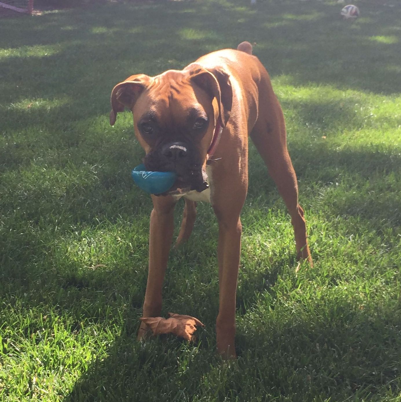 Profile of Mark Roper